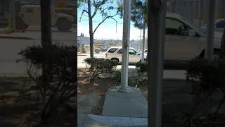 San Mateo California DMV