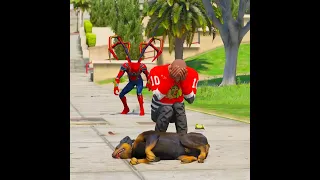 GTA V WHY SPIDERMAN DID THAT WITH CHOP #shorts | Maheshwar Gamerz