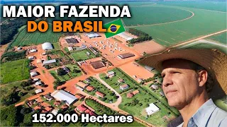 CONHEÇA A MAIOR FAZENDA DO BRASIL - Fazenda Roncador