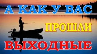 А КАК У ВАС ПРОШЛИ ВЫХОДНЫЕ ...