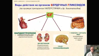 Фармакология кардиотонических, антиаритмических, антиатеросклеротических, нейровазоактивных средств