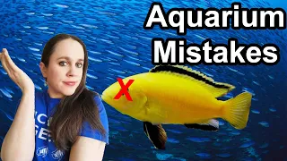 5 Deadly Aquarium Mistakes and How to Fix them