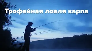 Рыбалка на карпа: в ожидании трофея