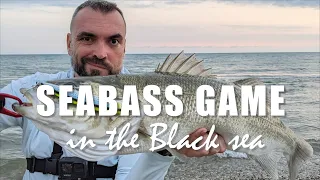 Ловля крупного сибаса/лаврака в Чёрном море на спиннинг / Seabass fishing in the Black sea