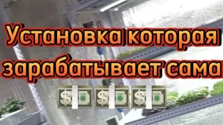 Гидропонная установка даёт 1000💵  каждый месяц и более 100кг урожая