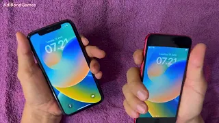 iPhone Xr vs iPhone 8