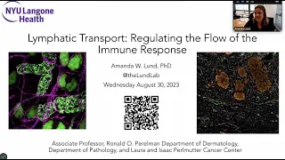 "Lymphatic Transport: Regulating the Flow of the Immune Response" by Dr. Amanda Lund