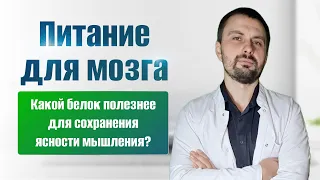 Какой белок лучше всего усваивается организмом? Рыба, животные и растительные белки. Диета для мозга