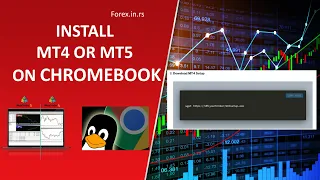 How to Install MetaTrader 4 or MT5 on a Chromebook? - Download MT4 for Linux!