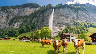 Meiringen, Switzerland 4K - Country Of Beautiful Natural Wonders | Scenic Relaxation Film