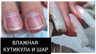 НАРАЩИВАНИЕ "колхоз"