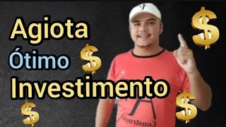 AGIOTA: ÓTIMO INVESTIMENTO EMPRESTAR DINHEIRO A JUROS trabalhar EM CASA