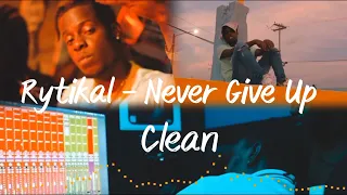 Rytikal - Never Give Up [ Clean ] | Painless Riddim