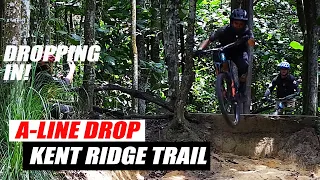 A-Line Drop - Kent Ridge DH TRail