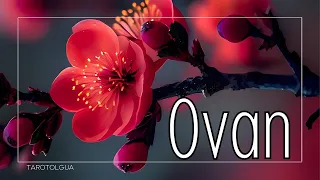 OVAN✨SUNCE ZA OVNA✨ VELIKO TAROT CITANJE