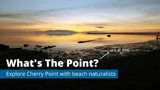What's the Point? - Panel with Lead Naturalists