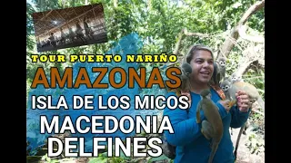 AMAZONAS🐒 TOUR ISLA DE LOS MICOS 🦜MACEDONIA 🌿PUERTO NARIÑO 🐬DELFINES