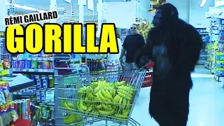 GORILLA (REMI GAILLARD) 🍌