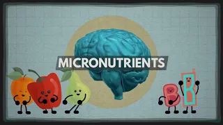 How the food you eat affects your brain   Mia Nacamulli 02