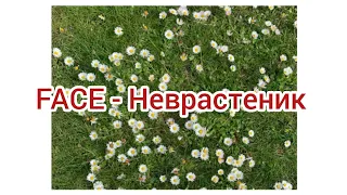 FACE - Неврастеник (Текст)