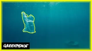 Wie kommt Plastik ins Meer?