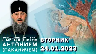 Толкование Евангелия с митр. Антонием (Паканичем). Вторник, 24 января 2023 года