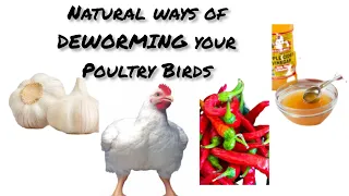 HOW TO DEWORM YOUR POULTRY BIRDS NATURALLY