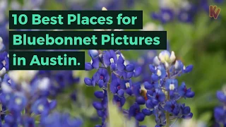 10 Best Places for Bluebonnet Pictures in Austin