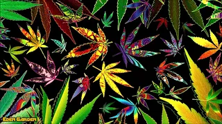 The Best Music To Listen To While High Smoking Weed