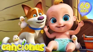 Canción de los animales - Compilado de las mejores Canciones Infantiles | LooLoo