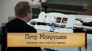 Петр Мокрушин - " Необычен был к нам Его приход"