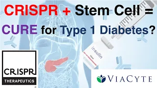 Can CRISPR Therapeutics (CRSP) and ViaCyte CURE Type 1 Diabetes? | VCTX210