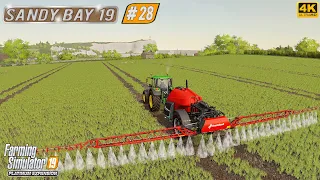 Plowing. Spreading Lime & Digestate. Sowing Field Grass ⭐ Sandy Bay 19 #28 ⭐ FS19 TimeLapse 4K