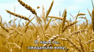 Русское поле - Юрий Гуляев (1971) (Subtitles)