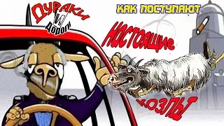 Дураки и Дороги: Козёл на перекрестке