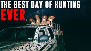 THE BEST DAY OF BEAR HUNTING EVER.