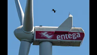 Windkraft 2020