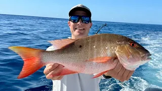 Trolling For Mutton Snapper, Tuna, & Kings (Catch Clean & Cook)