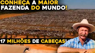 ESSA É A MAIOR FAZENDA DO MUNDO - 10 MILHÕES DE HECTARES!