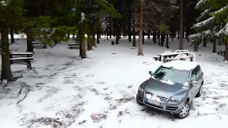 VW Touareg under a pine forest in 4K