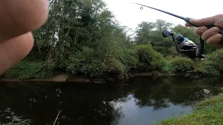 River Fishing Coastal Cutthroat Trout