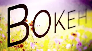 Bokeh defined and tested.  There’s more to great bokeh photos than buying the best/fastest lenses.