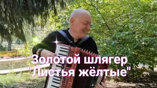 🔥🔥🔥 Эта Песня из СССР просто Разрывала все Танцплощадки!!!💥"Листья жёлтые"