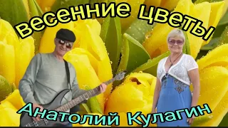 ВЕСЕННИЕ ЦВЕТЫ автор и исполнитель Анатолий Кулагин