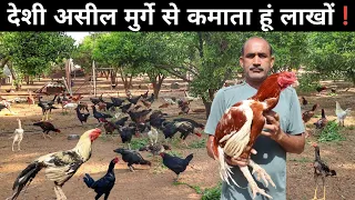 ऐसा शानदार Desi Aseel Murga फॉर्म आपने देखा नहीं होगा | Aseel Murgi Farm | Aseel Poultry Farm