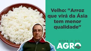 Importação de arroz gera impasse entre governo e o agro | HORA H DO AGRO