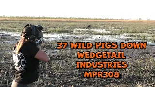 NOT YOUR ADVERAGE REVIEW ON THE WEDGETAIL INDUSTRIES MPR308
