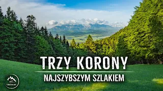 Trzy Korony od Sromowiec Niżnych - piękny i krótki szlak na szczyt. [29.05.2022]