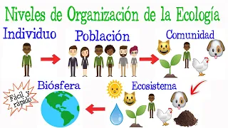 🌎Niveles de Organización de la Ecología🌿 [Fácil y Rápido] | BIOLOGÍA |