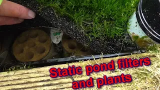 *** KOI POND *** SUMMER *** GETTING CRYSTAL CLEAR POND WATER ***POND FILTERS*** CLEAR POND WATER ***